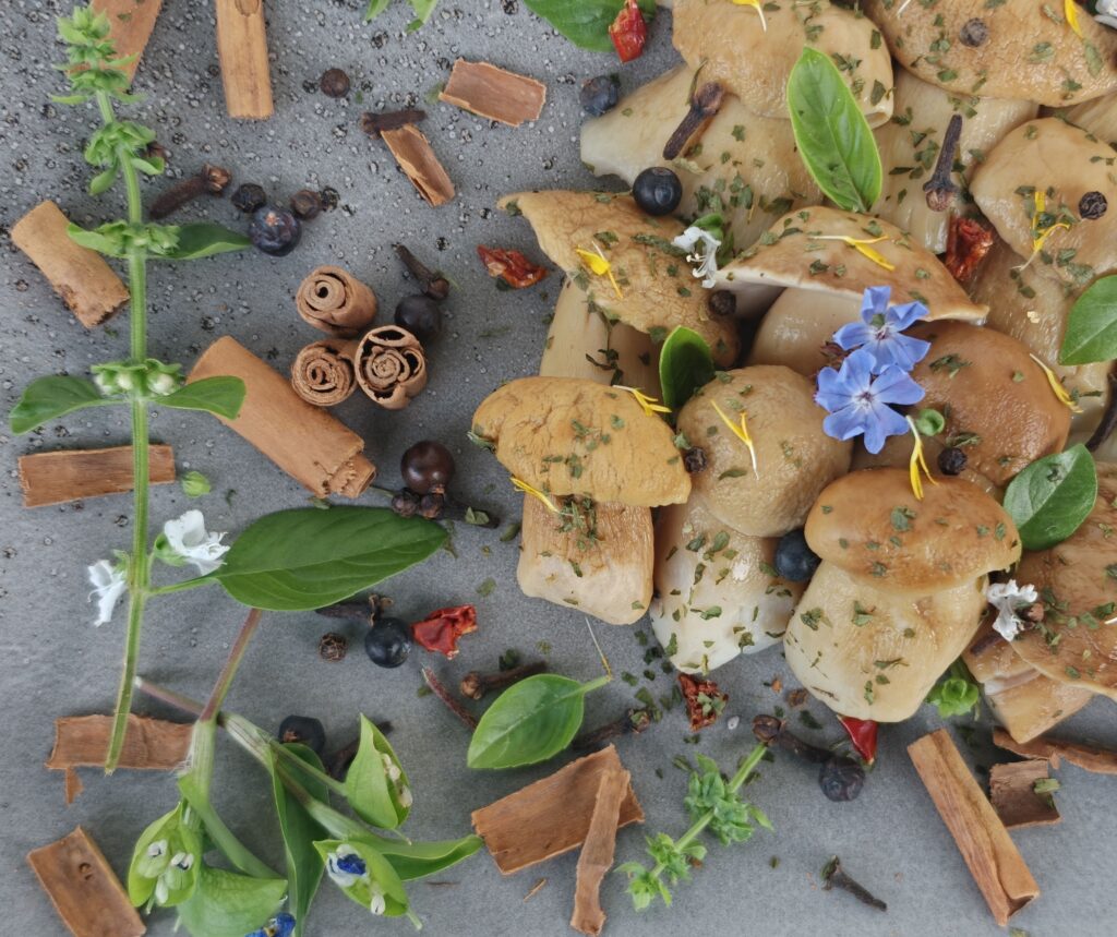 Funghi porcini interi