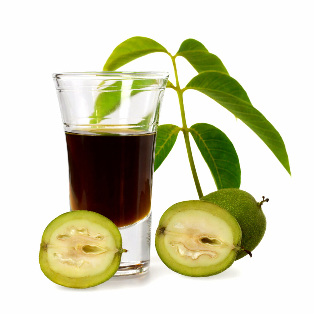 Nocino